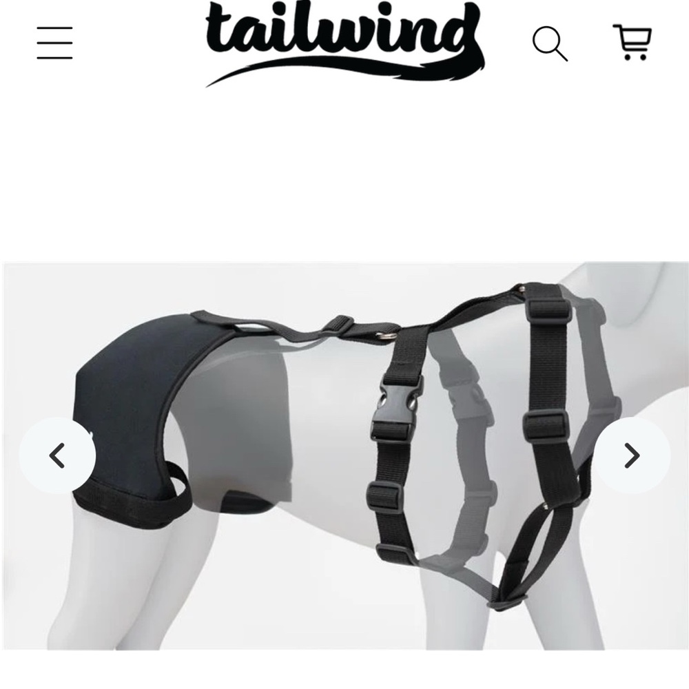 Black Dog Harness and Hip Brace